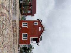 -莱阳濯村樱花园