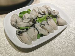 生蚝-聚鲜港（五洞）牛肉自选火锅