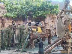 -泉州海丝野生动物世界