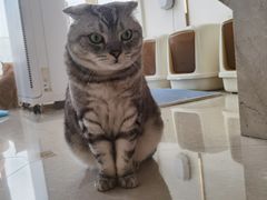 -Catmate·猫肥家润(金润铂宫店)
