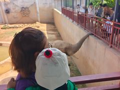 -西霞口神雕山野生动物世界