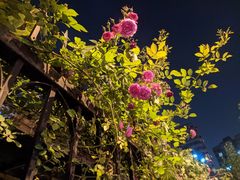 -哈根达斯(城西银泰店)