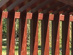 -武清南湖绿博园