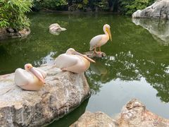 -昆明动物园