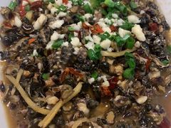 辣炒螺-文仔海鲜馆