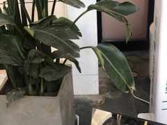 -春莱·老挝咖啡·泰式奶茶(钟楼店)