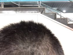 -日寸形象护肤养生