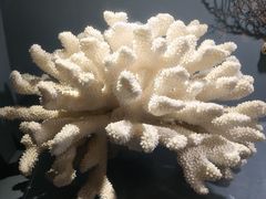 -天津自然博物馆