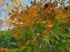 -南山风景名胜区