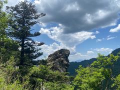 -朱雀国家森林公园