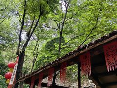 -井塘古村