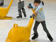 -世界之窗阿尔卑斯冰雪世界
