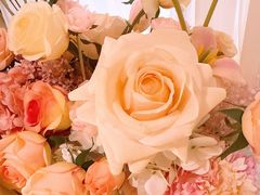 -PARFUM FLORAL花境法餐(南京首店)