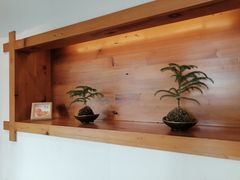 -鸥迪足道(湖南示范店)