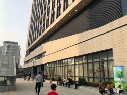 -上海交通大学医学院附属上海儿童医学中心(陆家嘴总院区)