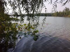 -香山公园