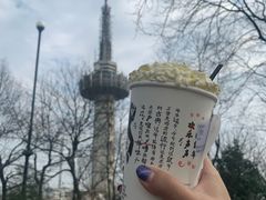 -茶颜悦色(岳麓山顶店)