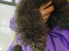 -天宠宠物医院24小时·急重症诊疗中心·全科·腔镜特色(和平分院)
