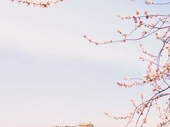 -颐和园-景明楼