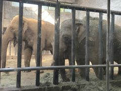 -石家庄市动物园