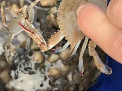 -南汇新城海滩
