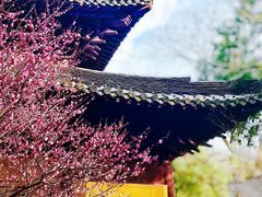-慧因高丽寺