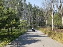 -东郊湿地公园