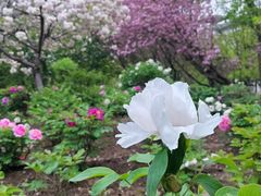 -江南大学(蠡湖校区)