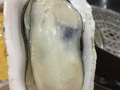 -蚝专家(北滘店)
