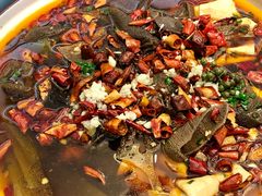 毛血旺-程新大酒店(常州龙虎塘店)