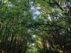 -动邦皮划艇·桨板·独木舟·团建户外运动俱乐部