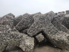 -奉贤海滩