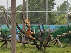 -西安秦岭野生动物园