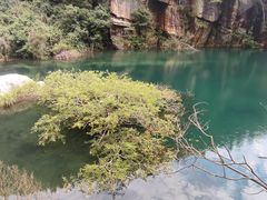 -庐山碧龙潭风景区