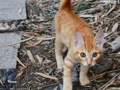 -苏州河梦清园环保主题公园