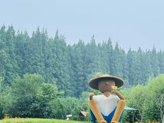 -日照海滨国家森林公园