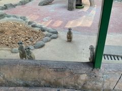 -杭州野生动物世界