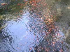 -水磨沟公园