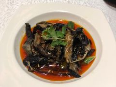 -百灵希尔顿逸林酒店·逸林轩中餐厅