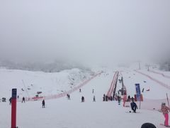 -太子岭滑雪场