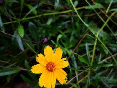 -白塘生态植物园