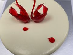 -BLACKSWAN黑天鹅(环球店)