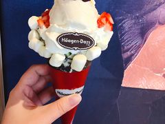 -哈根达斯(西安高新店)