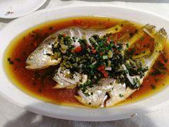 -阿英煲(凉城路店)