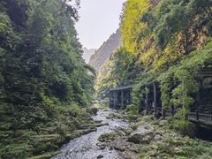 -三峡人家风景区