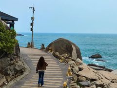 -广东惠东海龟国家级自然保护区