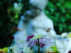 -共青国家森林公园-南大门停车场