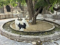-保定市动物园