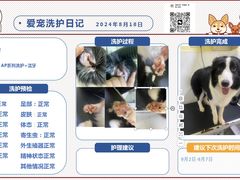 -狗不理喵子(百富路店)