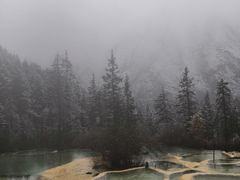 -黄龙山原始森林景区